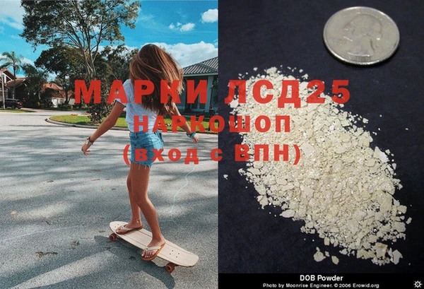 ПСИЛОЦИБИНОВЫЕ ГРИБЫ Богородицк