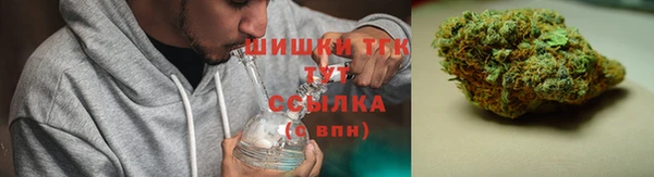 амф Богородск