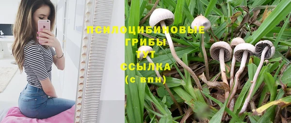 амф Богородск