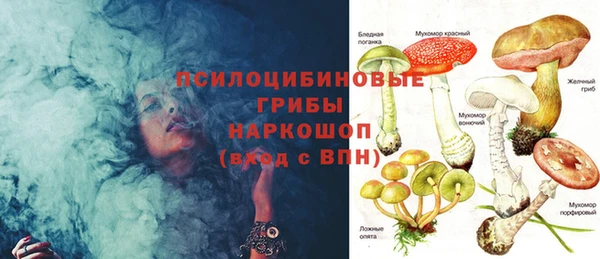 ПСИЛОЦИБИНОВЫЕ ГРИБЫ Богородицк
