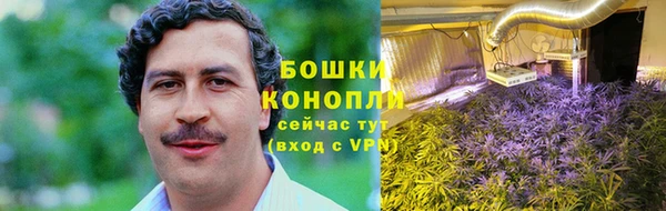 ПСИЛОЦИБИНОВЫЕ ГРИБЫ Богородицк
